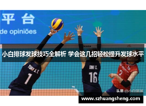 小白排球发球技巧全解析 学会这几招轻松提升发球水平