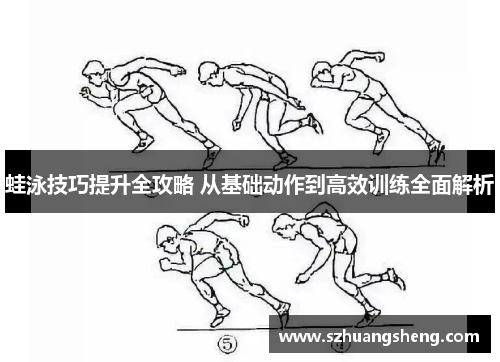 蛙泳技巧提升全攻略 从基础动作到高效训练全面解析